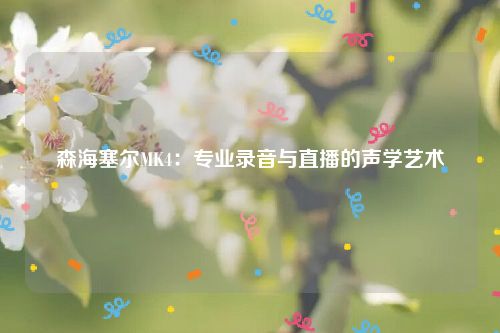森海塞尔MK4：专业录音与直播的声学艺术