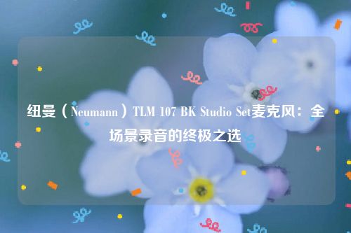 纽曼（Neumann）TLM 107 BK Studio Set麦克风：全场景录音的终极之选