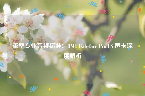 重塑专业音频标准：RME Babyface Pro FS 声卡深度解析
