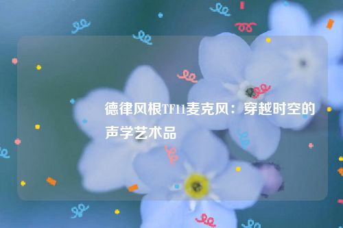 🎙️ 德律风根TF11麦克风：穿越时空的声学艺术品 🎙️