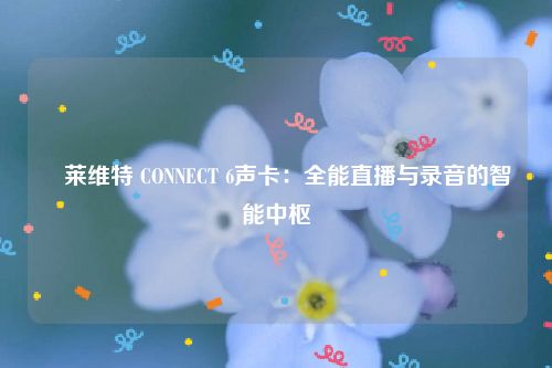​莱维特 CONNECT 6声卡：全能直播与录音的智能中枢