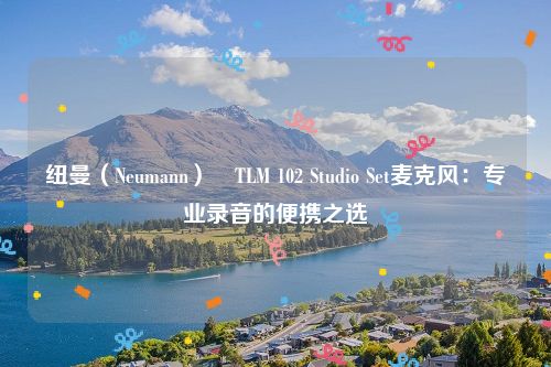 纽曼（Neumann）​TLM 102 Studio Set麦克风：专业录音的便携之选