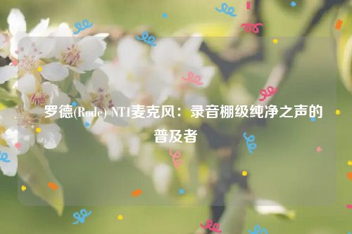 ​罗德(Rode) NT1麦克风：录音棚级纯净之声的普及者